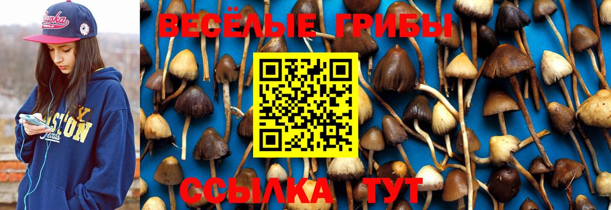 Псилоцибиновые грибы ЛСД  Псилоцибиновые грибы мицелий  Сухой Лог  Вход с VPN 