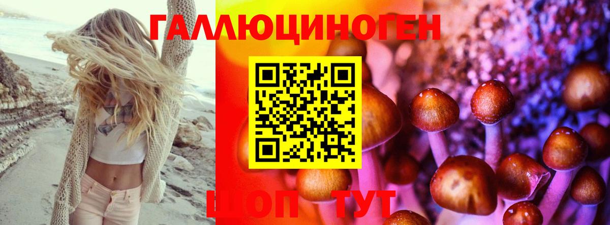 Псилоцибиновые грибы мицелий Сухой Лог